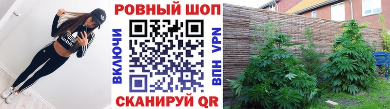Где продают наркотики Кирсанов Канабис  Меф мяу мяу  АМФ  ГАШИШ  Alpha-PVP 