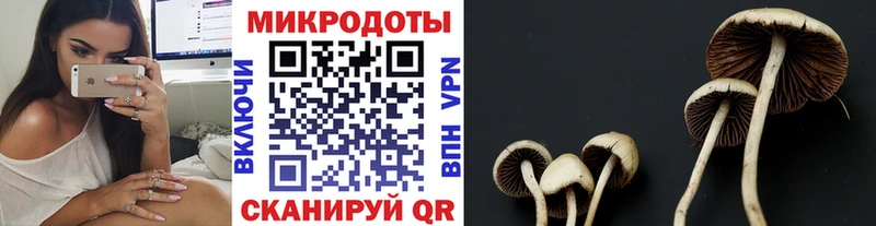 Псилоцибиновые грибы Magic Shrooms  Кирсанов 