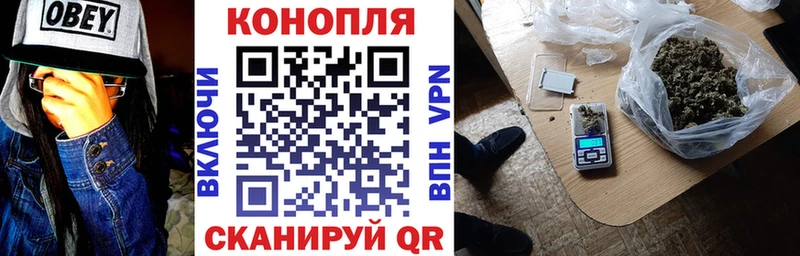 где найти   Кирсанов  кракен   Конопля SATIVA & INDICA 